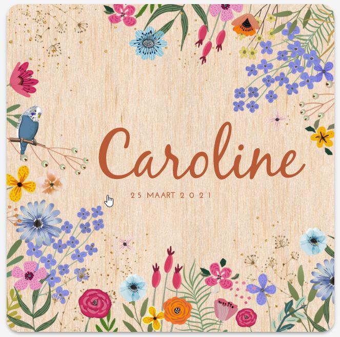 Nieuws: Caroline van Engen geboren