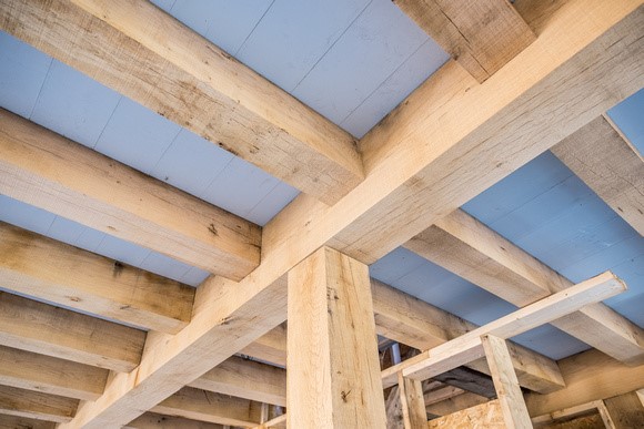 ECO woning, Zeist