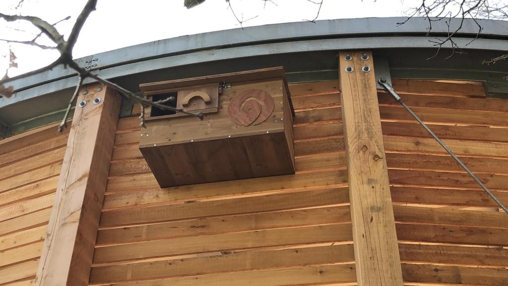 Nieuws: Voortgang project Avolare, Fauna opvang Doorwerth