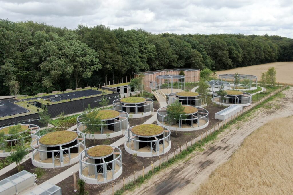 Nieuws: Foto reportage Wildopvang Avolare, Doorwerth - Robert Koelewijn Fotografie