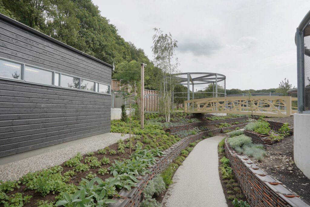 Nieuws: Foto reportage Wildopvang Avolare, Doorwerth - Robert Koelewijn Fotografie