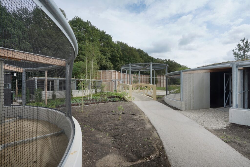 Nieuws: Foto reportage Wildopvang Avolare, Doorwerth - Robert Koelewijn Fotografie