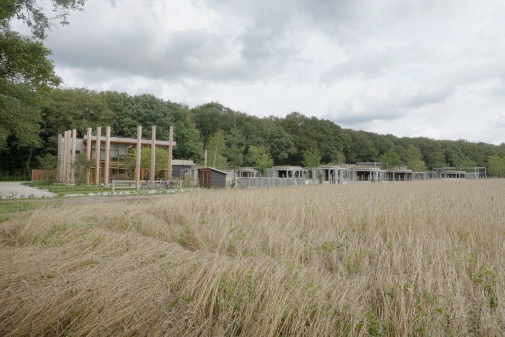 Nieuws: Foto reportage Wildopvang Avolare, Doorwerth - Robert Koelewijn Fotografie