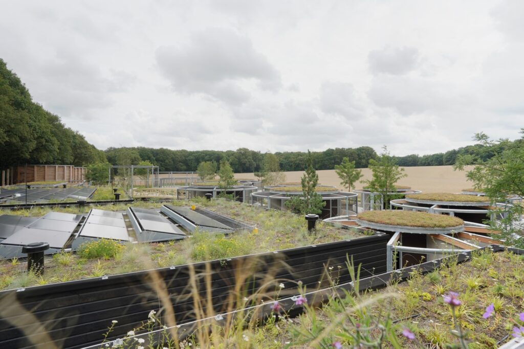 Nieuws: Foto reportage Wildopvang Avolare, Doorwerth - Robert Koelewijn Fotografie