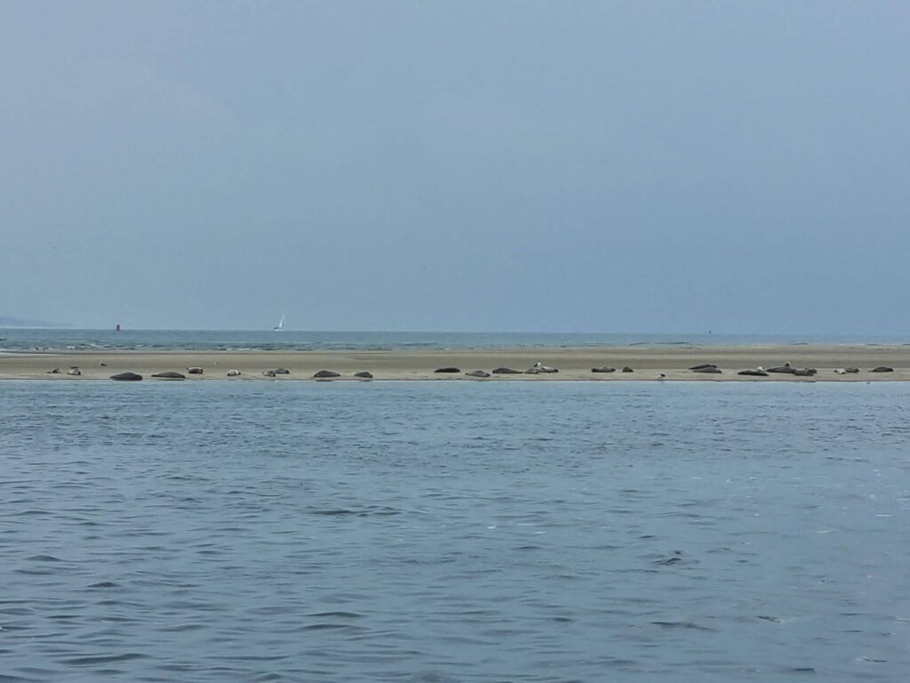 Nieuws - Weekend zeilen Terschelling 13,5 jaar bestaan BvE!