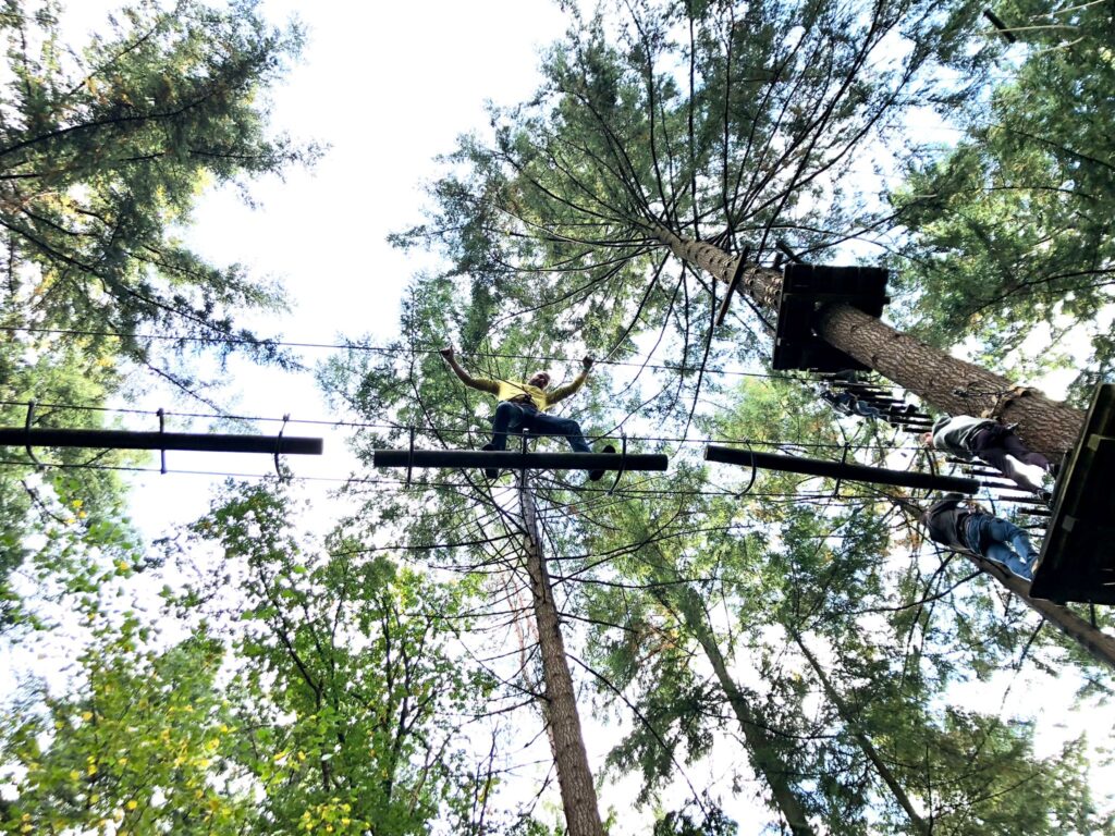 Nieuws - BvE Personeelsuitje Klimbos en Bruggen bouwen Lage Vuursche