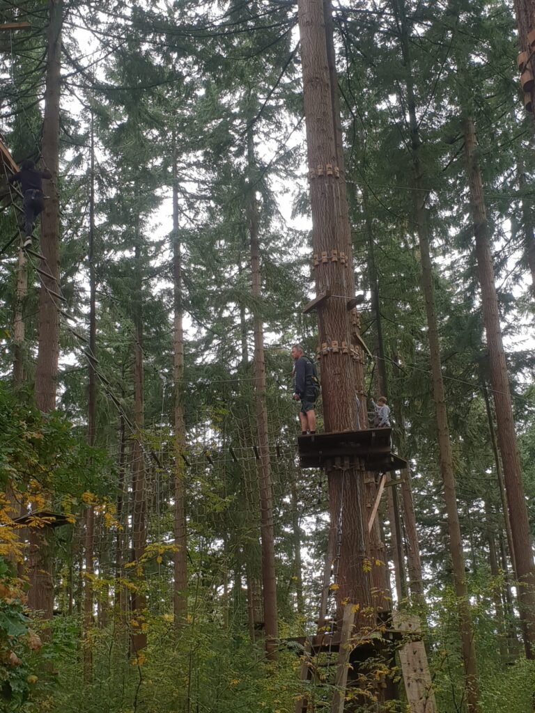 Nieuws - BvE Personeelsuitje Klimbos en Bruggen bouwen Lage Vuursche